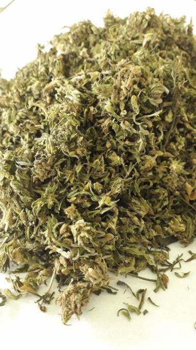 Trim CBG pour infusion